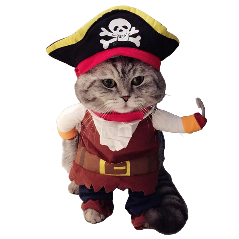 Cat wearing a pirate costume with a hat and outfit.