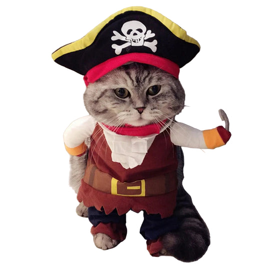 Cat wearing a pirate costume with a hat and outfit.