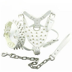 Studded Leather Dog Harness.