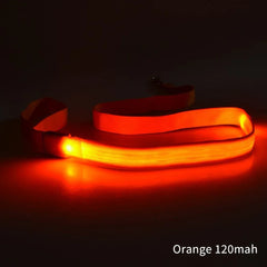 LED Light Up Dog Leash / Lead for Safety!.