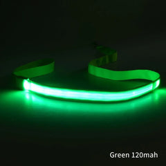 LED Light Up Dog Leash / Lead for Safety!.