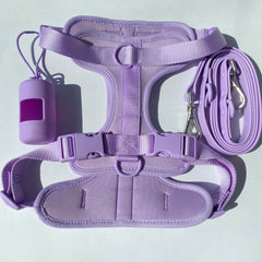 Lightweight Dog Harness Set.