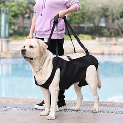 Whole Body Dog Lift Harness for Large Dogs with Legs Support.