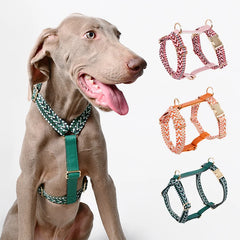 Luxury Leather Dog Harness, Collar Leash Set,.