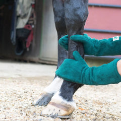 Ultra-Absorbent Pet Drying Gauntlets