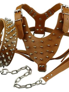 Studded Leather Dog Harness.