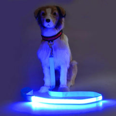 LED Light Up Dog Leash / Lead for Safety!.