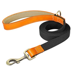 Beautifully Crafted Leather & Nylon Personalised Dog Collar & Lead Set.