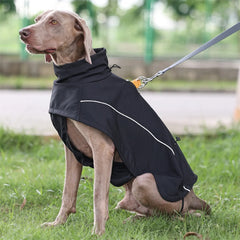 Waterproof Dog Jacket: Comfort and Safety for Large Breeds