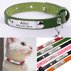 Stylish Safety: Personalised Leather Cat Collars with Engraved IDs.