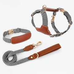 Premium Leather & Woven Harness with Anti-Explosion Dog Rope.