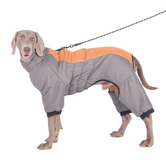 Reflective Waterproof Dog Padded Coat