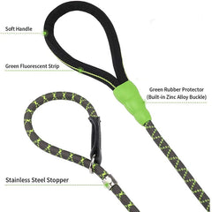 Our Durable Dog Leash P Chain Slip Collar.