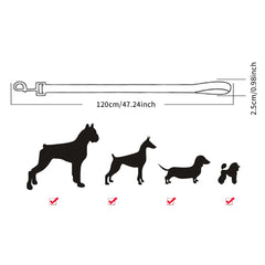 LED Light Up Dog Leash / Lead for Safety!.