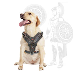 Genuine Leather Large Dog Harness.