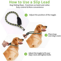 Our Durable Dog Leash P Chain Slip Collar.