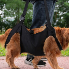 Whole Body Dog Lift Harness for Large Dogs with Legs Support.