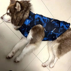 Big Fashion Dog Waterproof Jacket: Comfort and Style for Your Canine