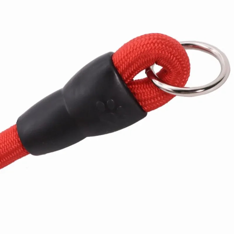 Dog Slip Collar Leash