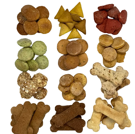 Assorted dog food packets arranged in a grid on a white background