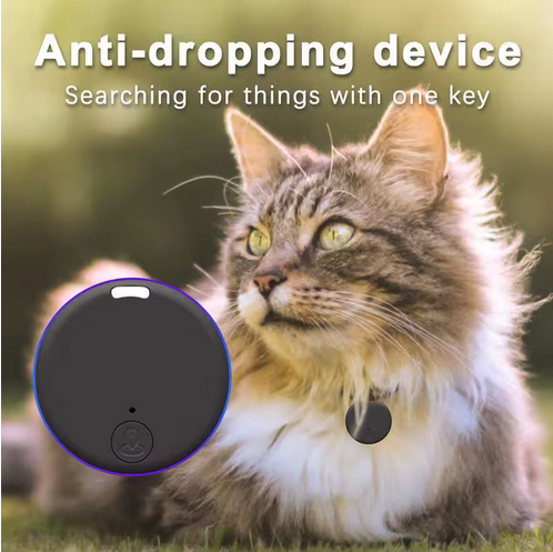 Cat with an anti-dropping device on its collar, set against a blurred natural background.