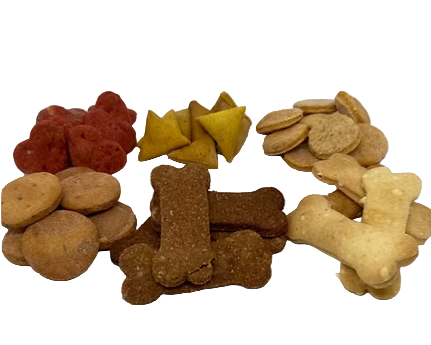 Assorted dog treats including bones, circles, and stars on a white background