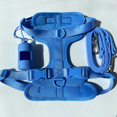 Lightweight Dog Harness Set.