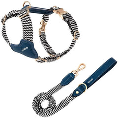 Premium Leather & Woven Harness with Anti-Explosion Dog Rope.