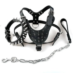 Studded Leather Dog Harness.