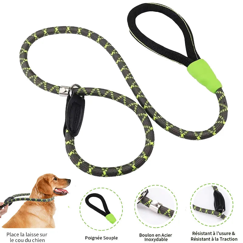 Our Durable Dog Leash P Chain Slip Collar.