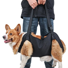 Whole Body Dog Lift Harness for Large Dogs with Legs Support.