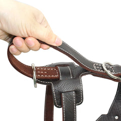 Genuine Leather Large Dog Harness.