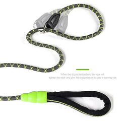 Our Durable Dog Leash P Chain Slip Collar.