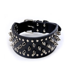 Skull Spiked Studded Leather Dog Collar.