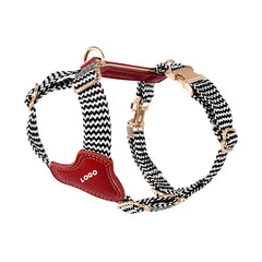 Premium Leather & Woven Harness with Anti-Explosion Dog Rope.