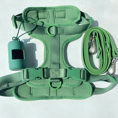 Lightweight Dog Harness Set.