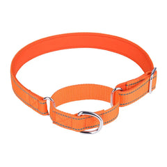 Explosion-Proof Impact Dog Collar.