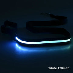 LED Light Up Dog Leash / Lead for Safety!.