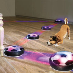 Electronic  Interactive Hover Soccer Ball Dog Toy.