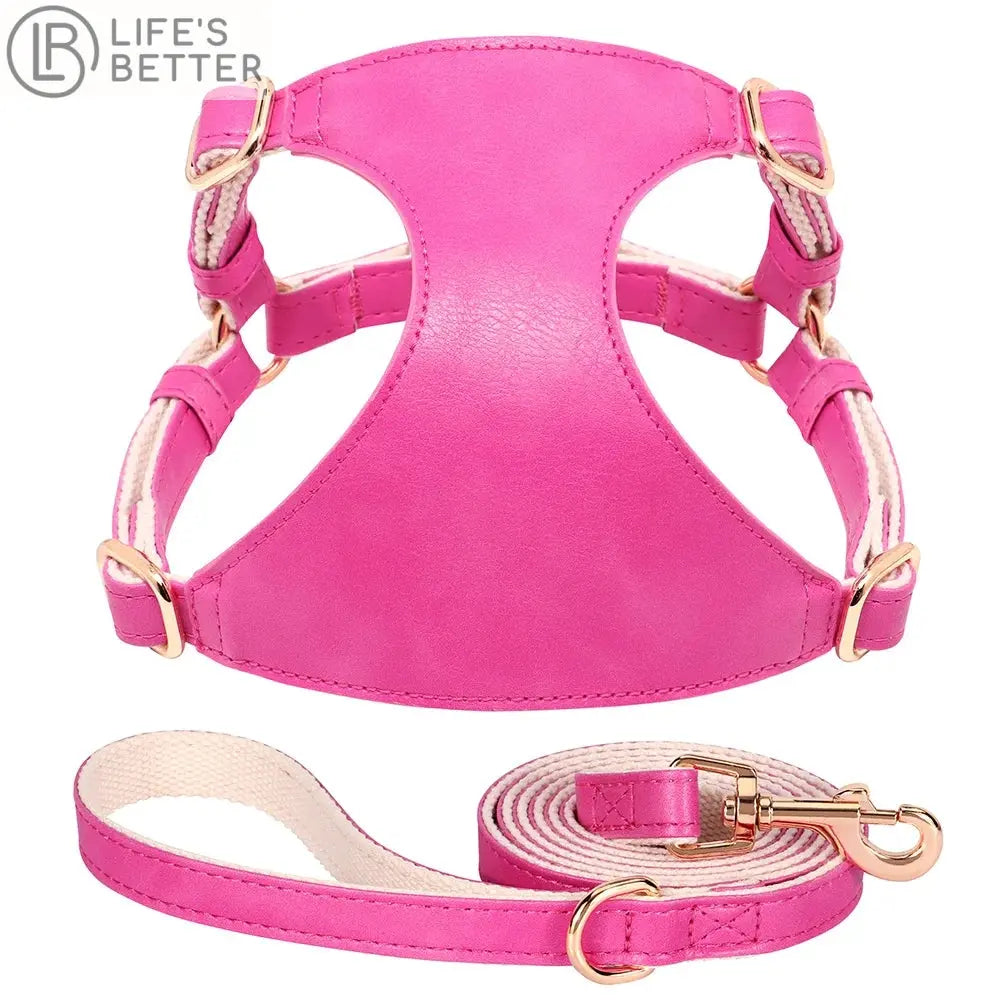 Beautifully Luxurious Soft Genuine Leather Dog Harness & Leash Sets.