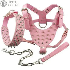 Studded Leather Dog Harness.