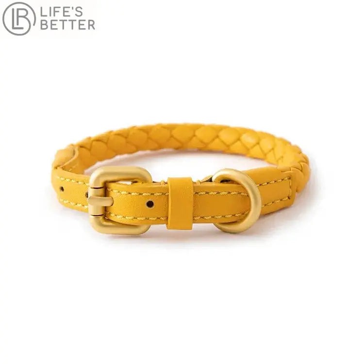 Stylish Woven Leather Dog Collar.