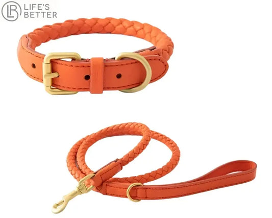 Exquisitely Stylish Woven Leather Dog Collar & Lead Set.