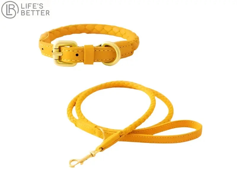 Exquisitely Stylish Woven Leather Dog Collar & Lead Set.