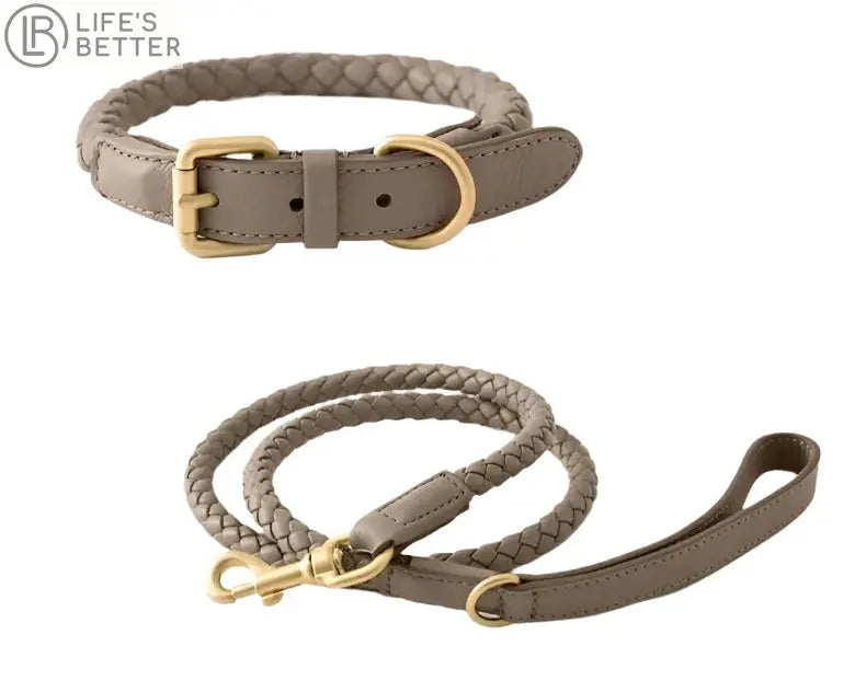 Exquisitely Stylish Woven Leather Dog Collar & Lead Set.