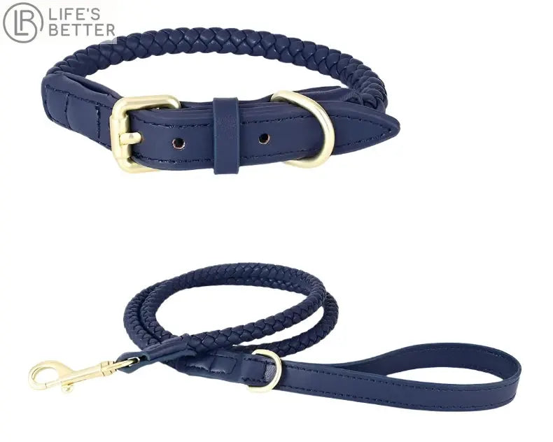 Exquisitely Stylish Woven Leather Dog Collar & Lead Set.