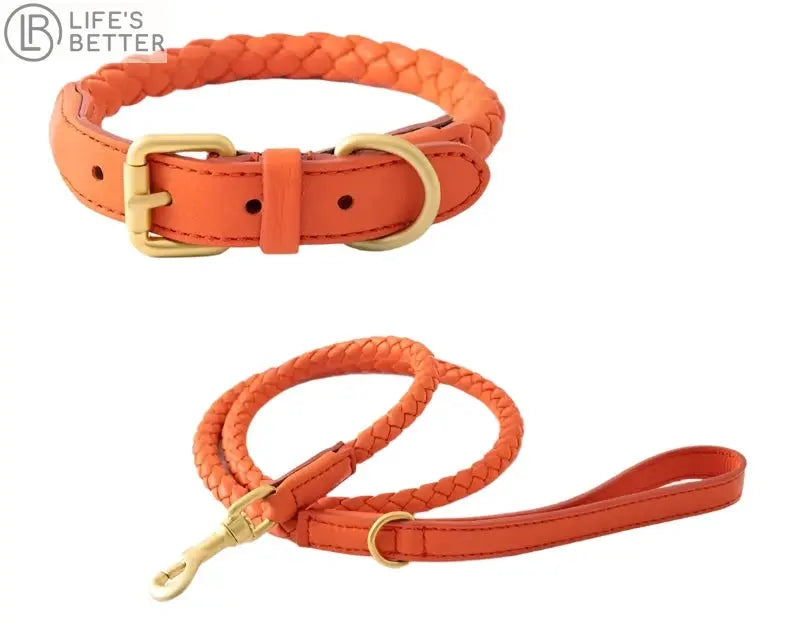 Exquisitely Stylish Woven Leather Dog Collar & Lead Set.