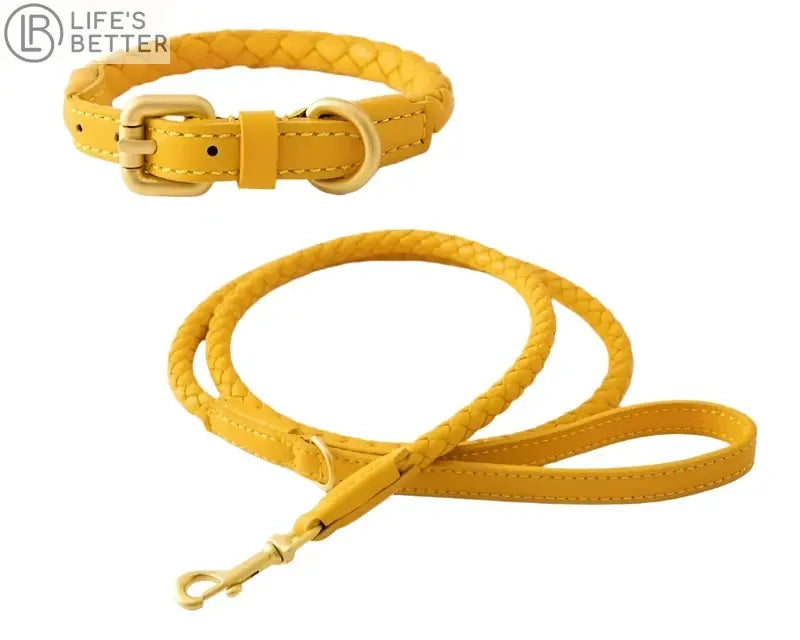 Exquisitely Stylish Woven Leather Dog Collar & Lead Set.