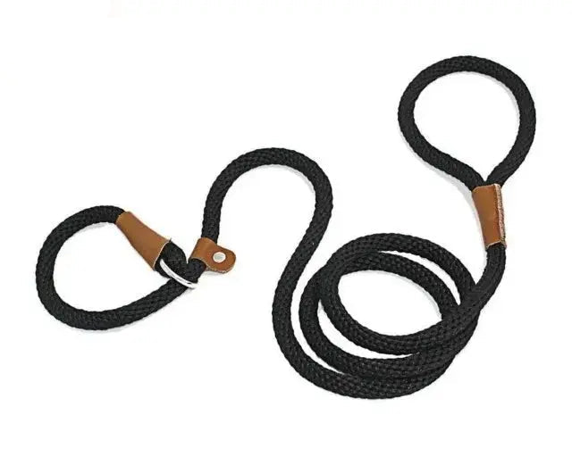 Ultimate Comfort with Our 2-in-1  Slip Lead.