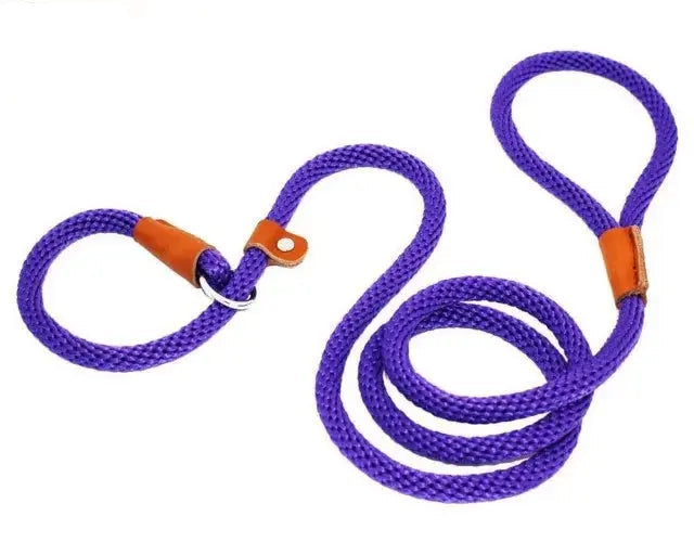 Ultimate Comfort with Our 2-in-1  Slip Lead.